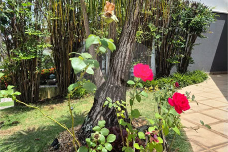 Casa à venda ou para alugar com 3 quartos, sendo 1 suíte, no condomínio Villagio Capriccio, Louveira - SP