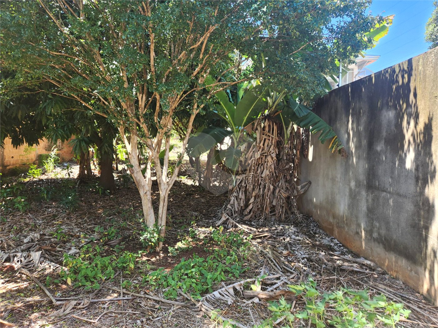 Terreno à venda em Vila Harmonia, Araraquara, SP
