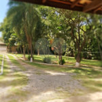 Chácara à venda com 8 quartos, sendo 5 suítes, em Chácara Belvedere, Indaiatuba, SP