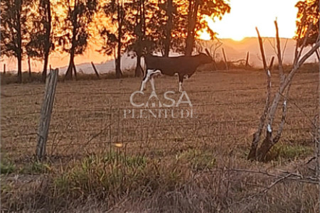 Chácara à venda com 4 quartos, sendo 1 suíte, em Zona Rural, Porangaba, SP