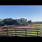 Chácara à venda com 6 quartos no Centro, Terenos, MS