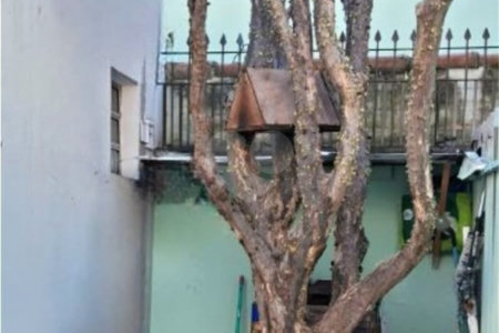 Casa à venda com 4 quartos em Cidade Nova I, Indaiatuba, SP