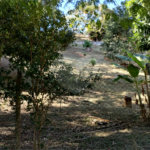 Casa à venda no condomínio Chácaras do Lago, Vinhedo - SP