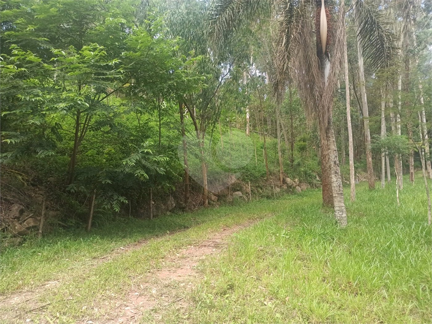 Sítio à venda com 9 quartos, sendo 5 suítes, em Portão, Atibaia, SP