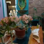 Apartamento à venda com 3 quartos, sendo 1 suíte, em Vila Medeiros, São Paulo, SP
