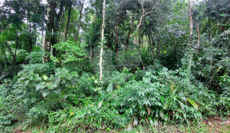 Condomínio à venda em Serra da Cantareira, Mairiporã, SP