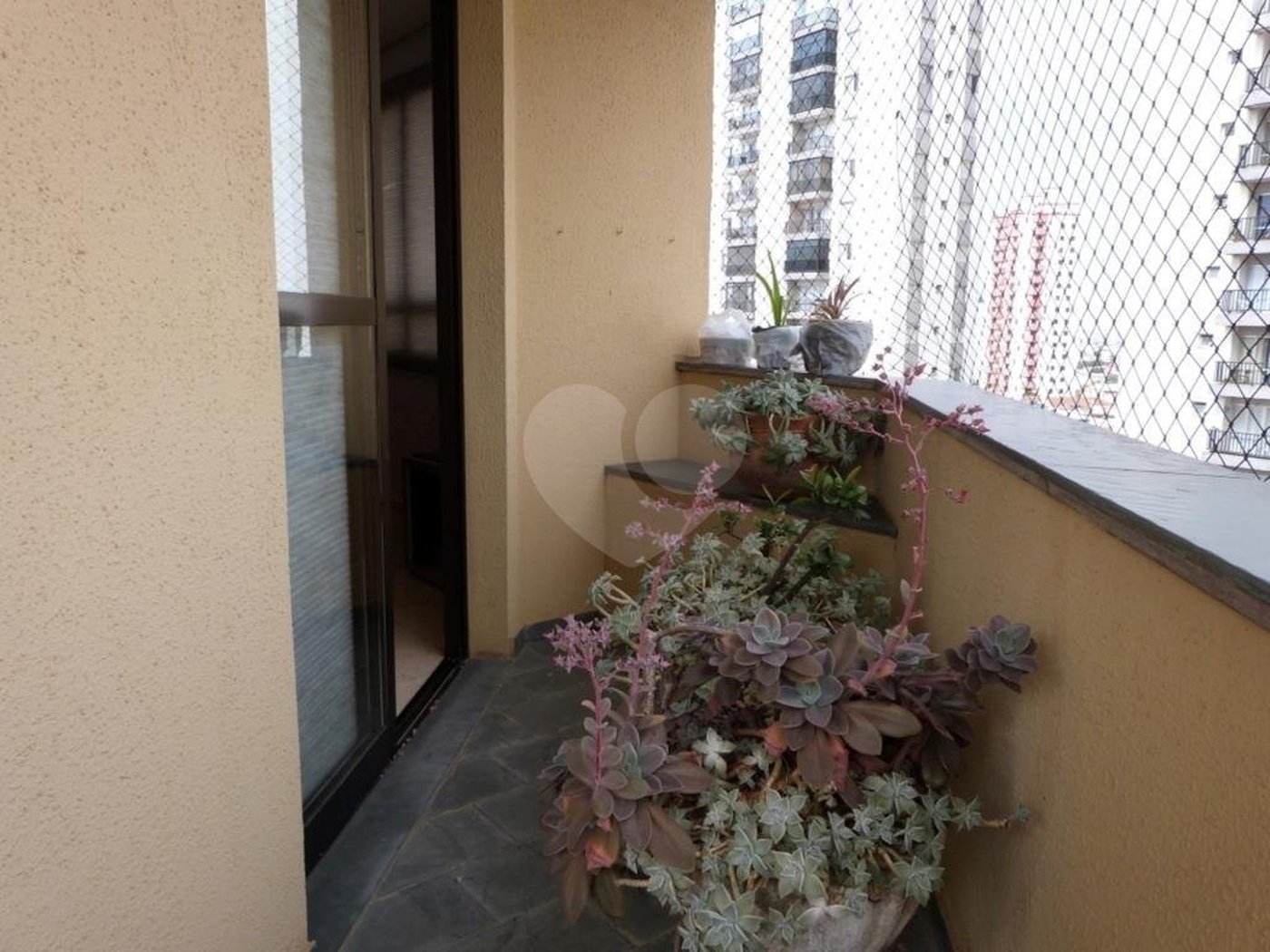 Apartamento à venda com 3 quartos, sendo 1 suíte, em Água Fria, São Paulo, SP