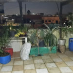 IMÓVEL COM SOBRADO + OUTRA CASA NO TERRENO, ÓTIMA PARA RENDA OU FAMÍLIA GRANDE