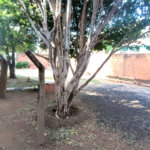 Terreno á venda no Jardim Tangara.