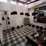 Linda casa térrea no Mandaqui