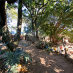 Casa à venda – Jardim Paulista (Residencial)