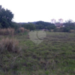 Fazenda com pasto a venda em Morungaba