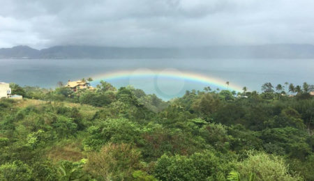 Terreno à venda em Siriúba, Ilhabela, SP