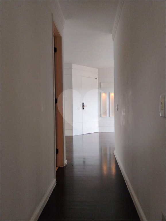 Lindo Apartamento Alto Da Boa Vista