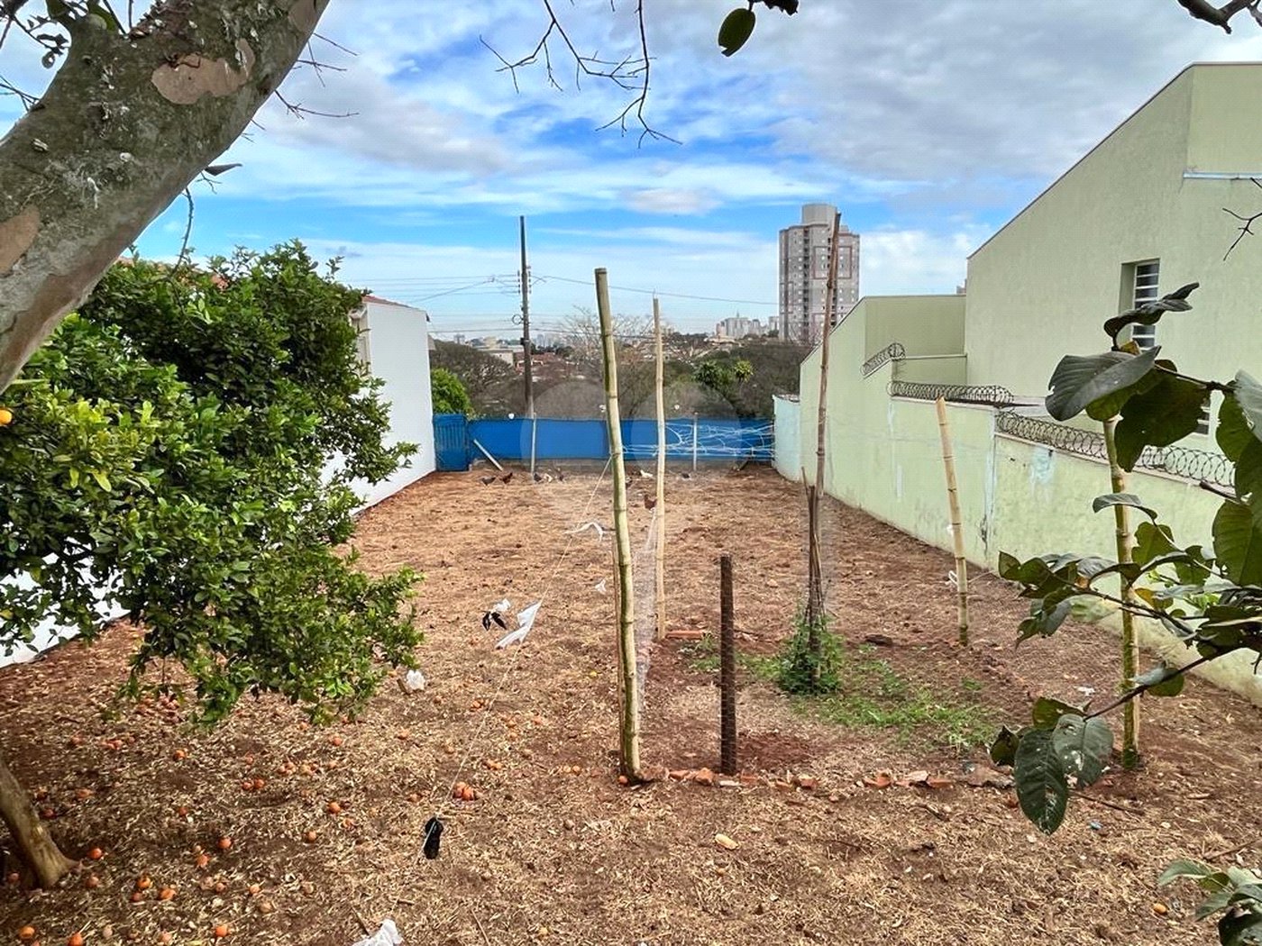 Oportunidade Única no Jardim Cardinalli – Terreno em Localização Privilegiada.