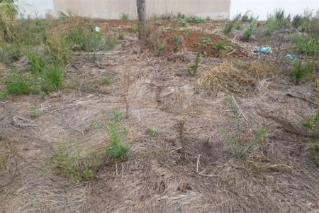 Lote no Jardim do Bosque, aceita financiamento ou aquisição de terreno e construção .