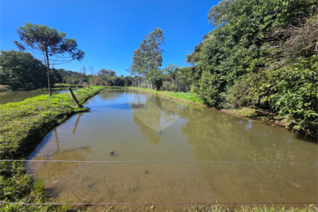 Sitio Granjeiro região de Água Vermelha 6,5 Alqueires (16,5 Hectares)
