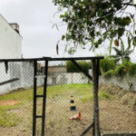 Terreno à venda em Jardim Esmeralda, São Paulo, SP