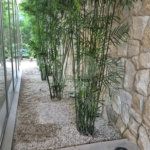 Apartamento á venda - Jardim Europa