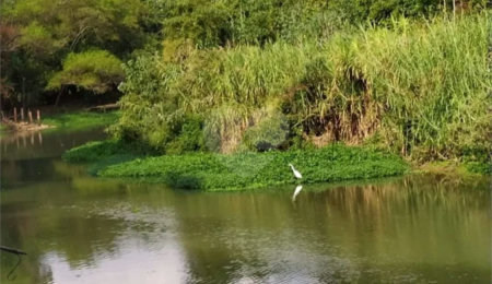 Chácara à venda com 5 quartos, sendo 2 suítes,  em Chácara Recreio Danubio, Holambra, SP