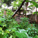 Casa Térrea à venda com 3 quartos em Tremembé, São Paulo, SP