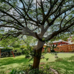Casa à venda com 4 suítes no condomínio Monte Belo, Salto - SP