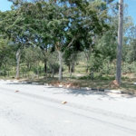Área de Terra à venda em Monte Alegre, Vinhedo, SP