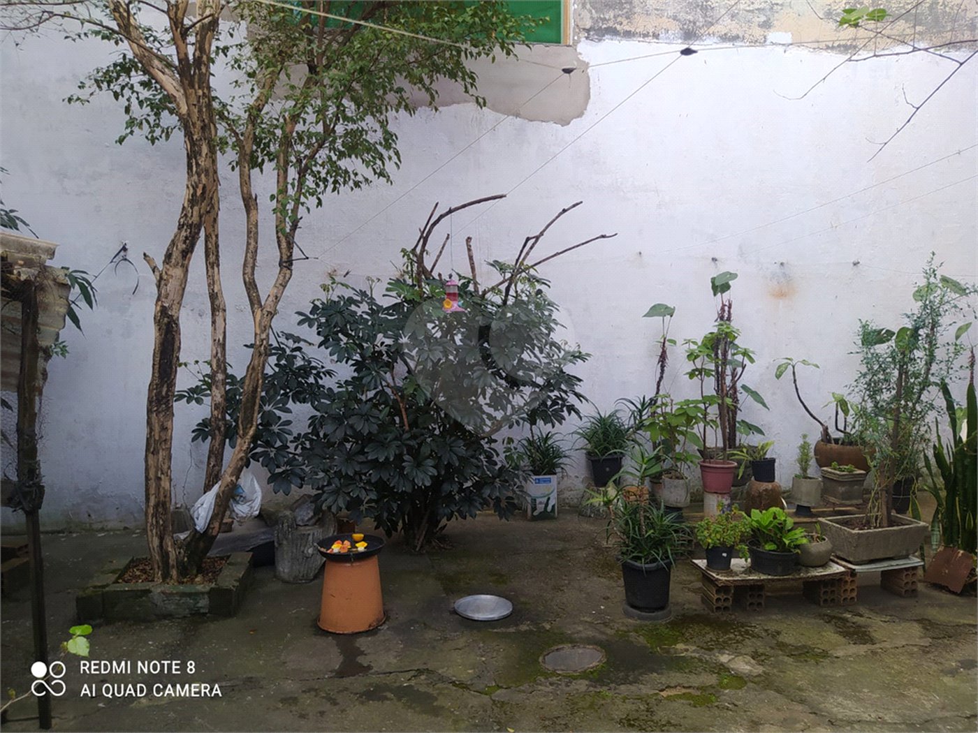 Casa Térrea à venda com 3 quartos em Imirim, São Paulo, SP