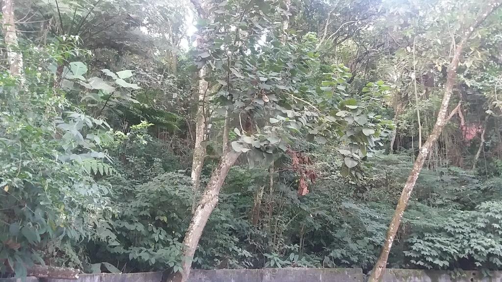 Terreno à venda em Tucuruvi, São Paulo, SP