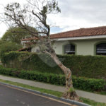 Casa a venda no Planalto Paraíso com 3 dorms sendo 01 suite