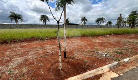 Terreno à venda no condomínio Residencial Quinta das Palmeiras, Itapetininga - SP
