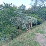 Terreno à venda em Observatório, Vinhedo, SP