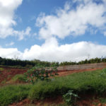 Terreno à venda no condomínio Elementum Residencial Atibaia, Atibaia - SP