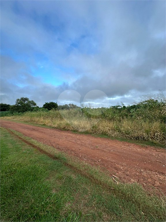 Terreno à venda em Bosque de Ponta Porã, Ponta Porã, MS