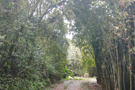 Sítio à venda com 5 quartos, sendo 1 suíte,  em Área Rural de Tapiraí, Tapiraí, SP