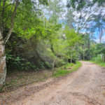 Terreno à venda em Chácara Recreio Lagoa dos Patos, Jundiaí, SP