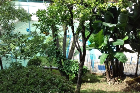 Apartamento à venda com 2 quartos em Vila Mazzei, São Paulo, SP
