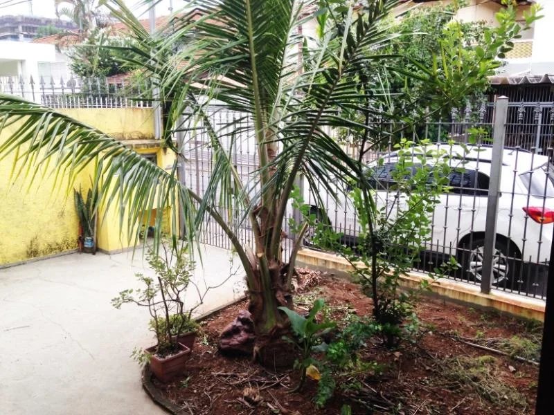 Casa Térrea à venda com 3 quartos, sendo 1 suíte, em Vila Cordeiro, São Paulo, SP