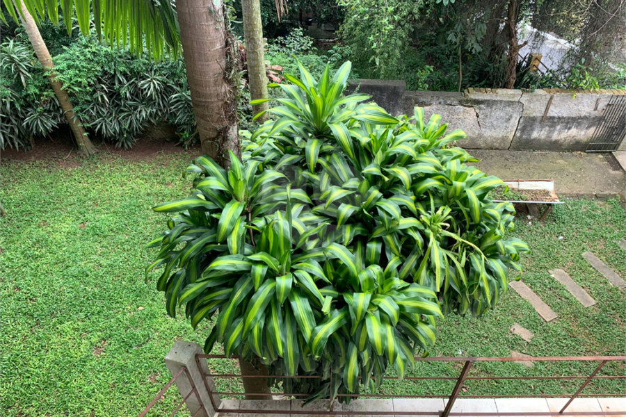 Sobrado à venda com 4 suítes em Tremembé, São Paulo, SP