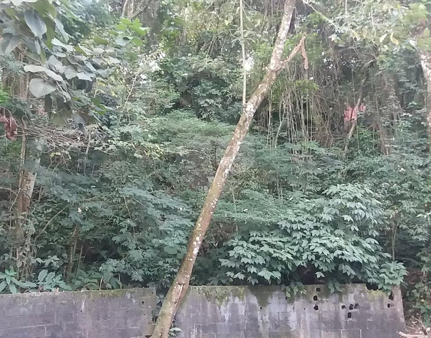 Terreno à venda em Tucuruvi, São Paulo, SP
