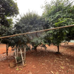 Chácara à venda com 3 quartos em Vila Sottemo, Itapetininga, SP