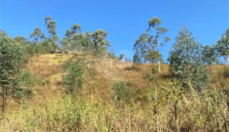 Terreno à venda em Caete (mailasqui), São Roque, SP