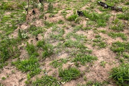 Terreno à venda em Recanto das Acácias, São Roque, SP