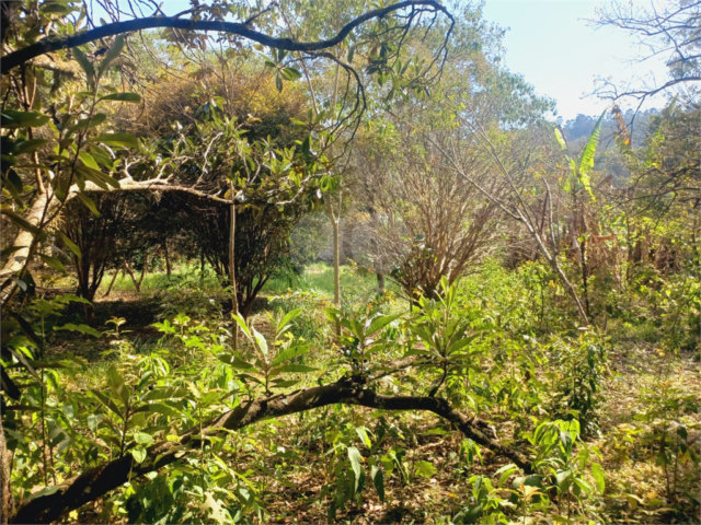 Terreno à venda em Luiz Fagundes, Mairiporã, SP