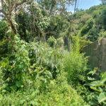 Chácara à venda com 2 quartos em Serra da Cantareira, Mairiporã, SP