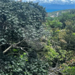 Terreno à venda em Albatroz, Armação dos Búzios, RJ