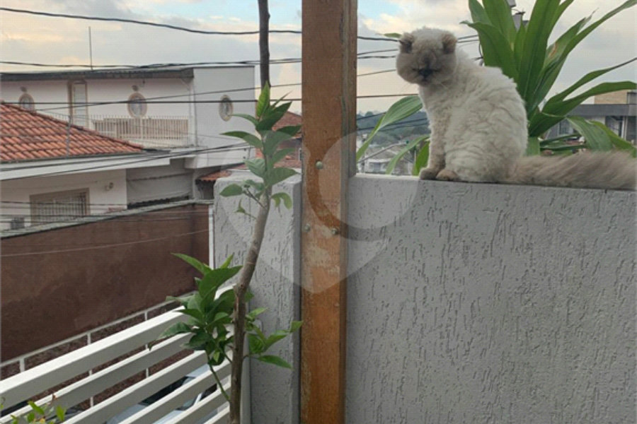 Sobrado à venda com 2 suítes em Horto, São Paulo, SP