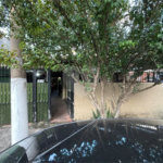 Casa Térrea à venda com 3 quartos em Vila Maria Alta, São Paulo, SP