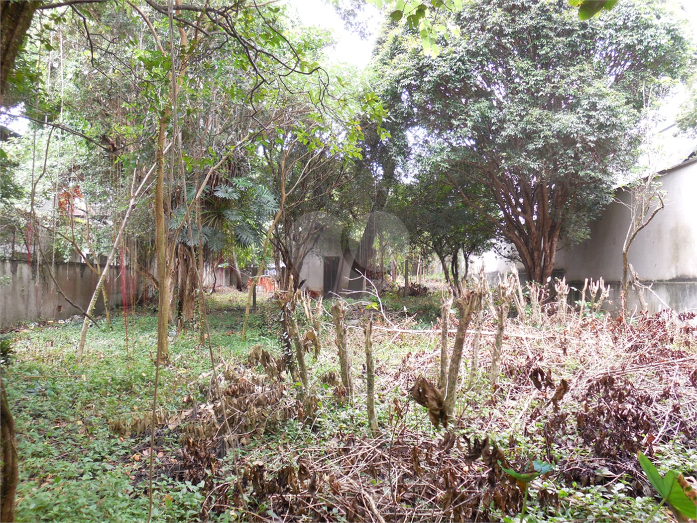 Terreno à venda em Alto da Boa Vista, São Paulo, SP
