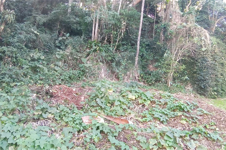 Terreno à venda no condomínio Sausalito, Mairiporã - SP